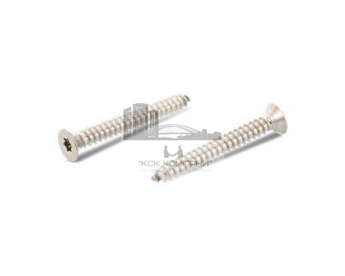 ISO 14586 A4 C 2,2X22 TX6 Винт самонарезающий с потайной головкой и звездообразным шлицем TX (Torx), форма С - острый конец нержавеющий