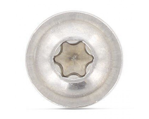 ISO 7380-2 A2 M 4X55/55 TX20 Винт нержавеющий с полукруглой головой, фланцем и звездообразным шлицем TX (Torx)