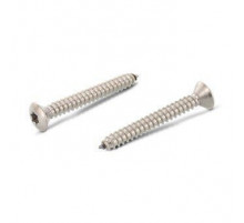 ISO 14587 A2 C 2,2X4,5 TX6 Винт самонарезающий с полупотайной головкой и звездообразным шлицем TX (TORX), форма С - острый конец нержавеющий
