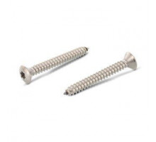 ISO 14587 A2 C 2,2X4,5 TX6 Винт самонарезающий с полупотайной головкой и звездообразным шлицем TX (TORX), форма С - острый конец нержавеющий
