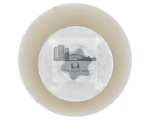 Art. 9066 A2 C 3,9X19 TX15 Саморез окрашенный RAL 9003 для подоконников c крупной резьбой шлиц TX  купить в Москве