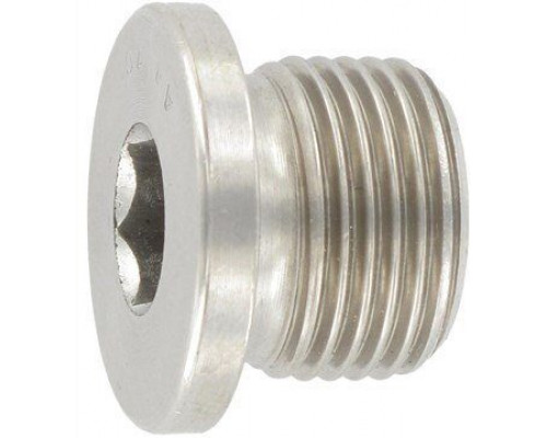 DIN 908 A2 G 1/4 согласно DIN 228 Пробка резьбовая с трубной цилиндрической резьбой Уитворта нержавеющая с буртом и шестигранным углублением под  купить в Москве