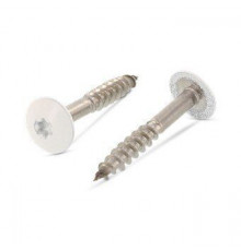 Art. 9086 A2 4,8X38 TX20 - RAL 9010 Саморез с расширенной низкой полукруглой головкой, неполной резьбой и звездообразным шлицем TX