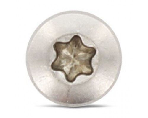 DIN 7500 A2 CE M6X10 TX30 Винт резьбовыдавливающий с цилиндрической головой со сферой тип C, шлиц TX