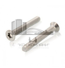 ISO 14581 A2 M 2,5X4 TX8 Винт нержавеющий с потайной головой и звездообразным шлицем TX (TORX)