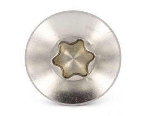 ISO 14585 A4 C 2,2X22 TX6 Винт самонарезающий с полукруглой головой с острым концом форма С и звездообразным шлицем TX (Torx) нержавеющий