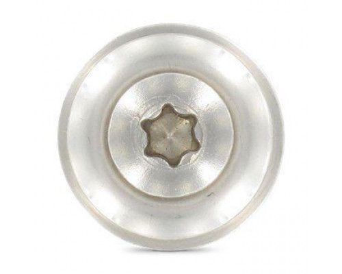 Art. 9087 A2 4,5X100 TX20 Шуруп c полупотайной головой и двухсоставной шайбой, звездообразный шлиц TX (TORX), с фиксированной EPDM прокладкой (15 мм), нержавею