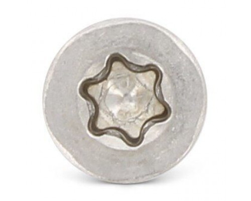 ISO 14580 A2 M8X55/55 TX40 Винт с низкой цилиндрической головой и звездообразным шлицем TORX