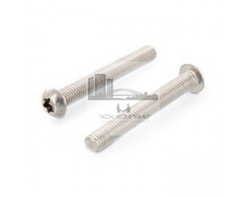 ISO 7380-1 A4 M 6X22/22 TX30 Винт нержавеющий с полукруглой головой и звездообразным шлицем TX (Torx)