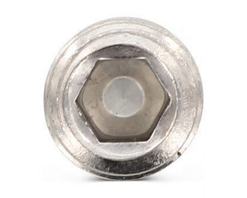 ISO 4026 A2 M 5X4 Винт установочный с шестигранным углублением под ключ и плоским концом нержавеющий