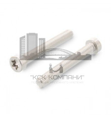 ISO 14580 A2 M6X16 TX30 Винт с низкой цилиндрической головой и звездообразным шлицем TORX