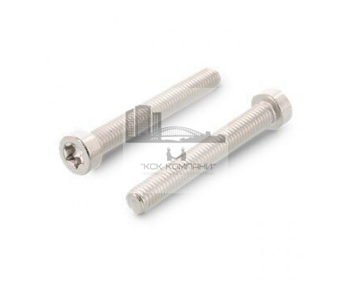 ISO 14580 A2 M6X60 TX30 Винт с низкой цилиндрической головой и звездообразным шлицем TORX