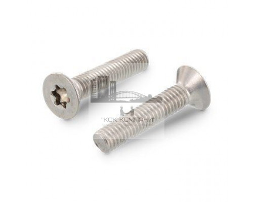 ISO 10642 A2 M 5X20 TX25 Винт нержавеющий с потайной головой и звездообразным шлицем TX (TORX)
