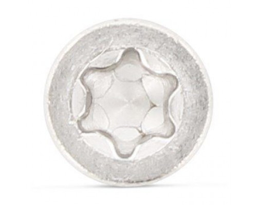 ISO 14580 A2 M6X60 TX30 Винт с низкой цилиндрической головой и звездообразным шлицем TORX