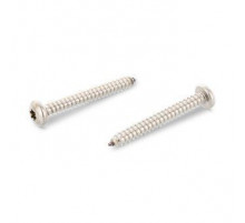 ISO 14585 A4 C 4,2X13 TX20 Винт самонарезающий с полукруглой головой с острым концом форма С и звездообразным шлицем TX (Torx) нержавеющий