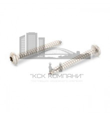 ISO 14585 A4 C 4,2X50 TX20 Винт самонарезающий с полукруглой головой с острым концом форма С и звездообразным шлицем TX (Torx) нержавеющий