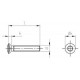DIN 966 A4 M 6X60 TX30 Винт с полупотайной головой шлиц TX (Torx) нержавеющий