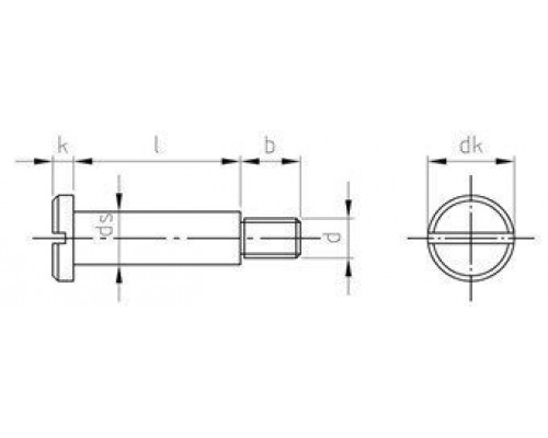 DIN 923 AISI 303 M 6X6 Винт нержавеющий ступенчатый с цилиндрической плоской головой и прямым шлицем