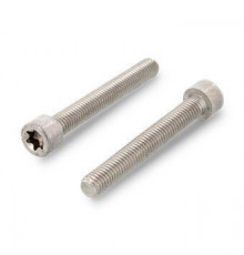 ISO 14579 A2 M 5X50/50 TX25 Винт нержавеющий с цилиндрической головой и звездообразным шлицем TX (Torx)