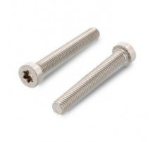 ISO 14580 A2 M8X42/42 TX40 Винт с низкой цилиндрической головой и звездообразным шлицем TORX