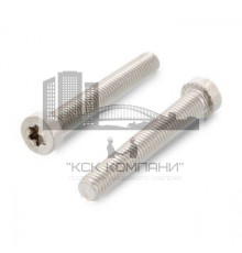 ISO 14580 A2 M8X55/55 TX40 Винт с низкой цилиндрической головой и звездообразным шлицем TORX