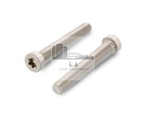 ISO 14580 A2 M8X55/55 TX40 Винт с низкой цилиндрической головой и звездообразным шлицем TORX