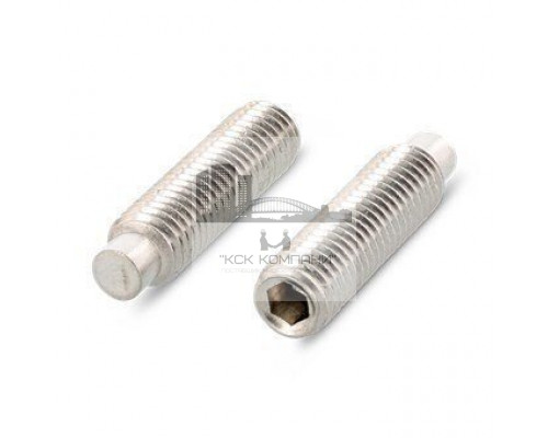 ISO 4028 A4 M 20X30 Винт установочный с внутренним шестигранником и цилиндрическим концом нержавеющий