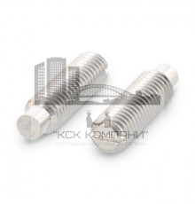 DIN 417 AISI 303 M 2,5X12 Винт установочный с прямым шлицем и цилиндрическим концом нержавеющий