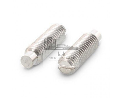 DIN 417 AISI 303 M 2,5X12 Винт установочный с прямым шлицем и цилиндрическим концом нержавеющий
