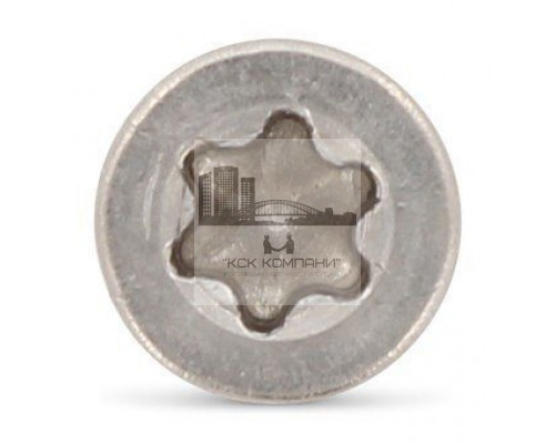 Art. 9243 A4 5,5X60/24 TX25 Шуруп самонарезающий с цилиндрической головкой с фиксирующей резьбой под головой и звездообразным шлицем TX (Torx)  купить в Москве