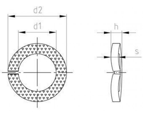 Art. 9215 1.4310 M 20 Шайбы изогнутые стопорные пружинные зубчатые