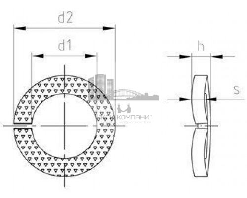 Art. 9215 1.4310 M 8 Шайбы изогнутые стопорные пружинные зубчатые
