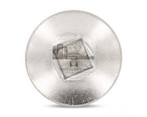DIN 7981 A2 C 4,8X13 SQ2 Винт самонарезающий с полукруглой головой и квадратным шлицем нержавеющий  купить в Москве