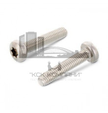 DIN 7500 A2 CE M3X6 TX10 Винт резьбовыдавливающий с цилиндрической головой со сферой тип C, шлиц TX