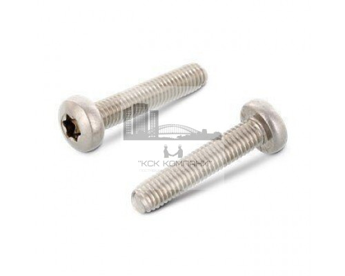 DIN 7500 A2 CE M4X10 TX20 Винт резьбовыдавливающий с цилиндрической головой со сферой тип C, шлиц TX