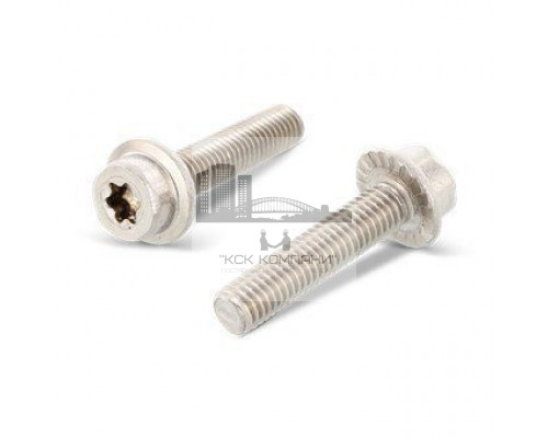 Art. 14579 A2 M 8X16/16 TX40 Винт нержавеющий с цилиндрической головой, с фланцем и насечками под шляпкой, с звездообразныv шлицем TX (Torx)