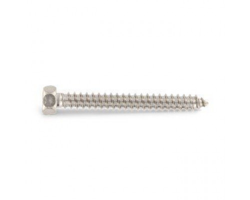 DIN 7976 A2 C 5,5X120 Винт самонарезающий с шестигранной головой нержавеющий