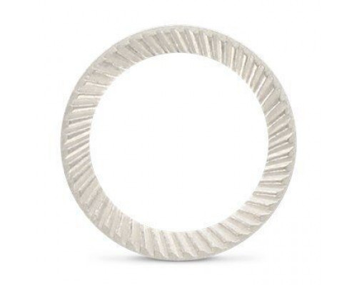 Art. 9093 A2 S 10 Шайба тип S стопорная, зубчатая тип Schnorr, коническая, контактная