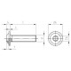 ISO 7380-2 A4 M 5X75/75 TX25 Винт нержавеющий с полукруглой головой, фланцем и звездообразным шлицем TX (Torx)