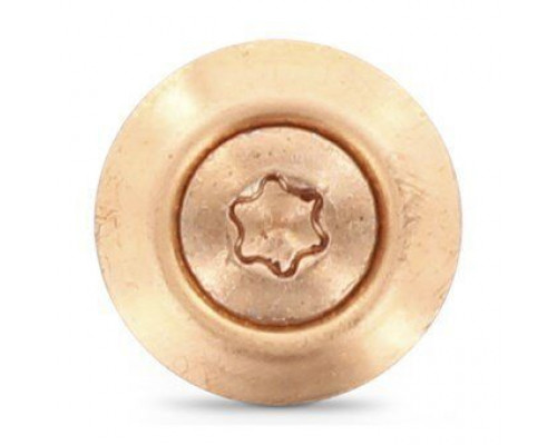 Art. 9087 A2-Cu 4,5X100 TX20 Шуруп c полупотайной головкой и двухсоставной шайбой, со свободной EPDM прокладкой (15 мм) и звездообразным шлицем TX (TORX) нержав