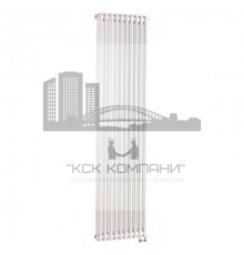 Радиатор отопления 2-х трубчатый Tesi 2 (нижнее) RT1800 6 секций