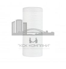 Картридж PYP/H 10 - 10BB (Geizer)