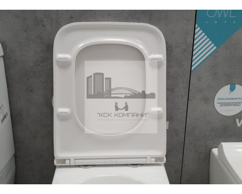 Унитаз подвесной  FB002 Diamond