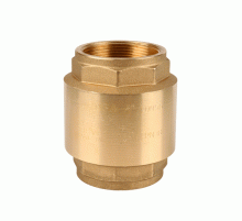 Обратный клапан пружинный 2 