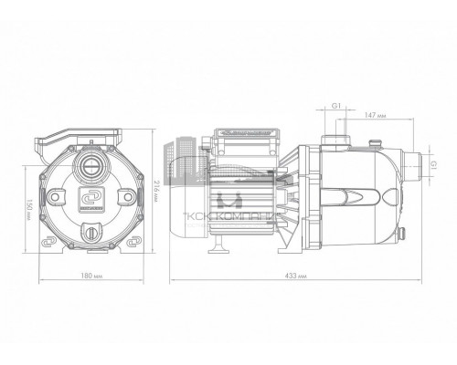 Поверхностный насос ДЖАМБО 70/50 П (Dzhileks)
