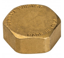 Заглушка SFT-0026-000001 ВР 1" 