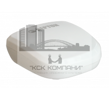 Радиодатчик контроля протечки воды Smart 868 2240140 