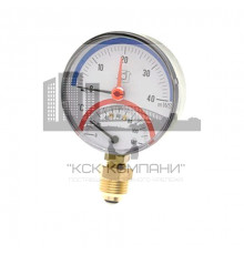 Термоманометр радиальный 80 мм F+R828 (TMRP) 40 бар (Ваттс)