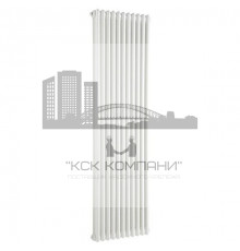 Радиатор отопления 2-х трубчатый Tesi 2 201800 10 секций