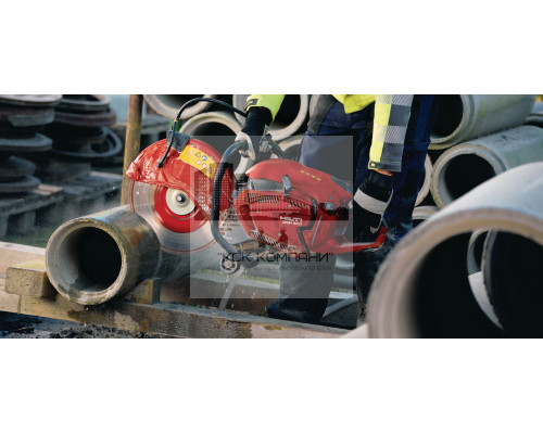 DSH 900-X Бензорез